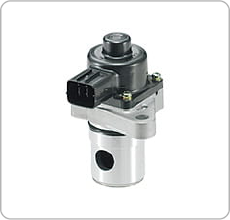 EGR valve